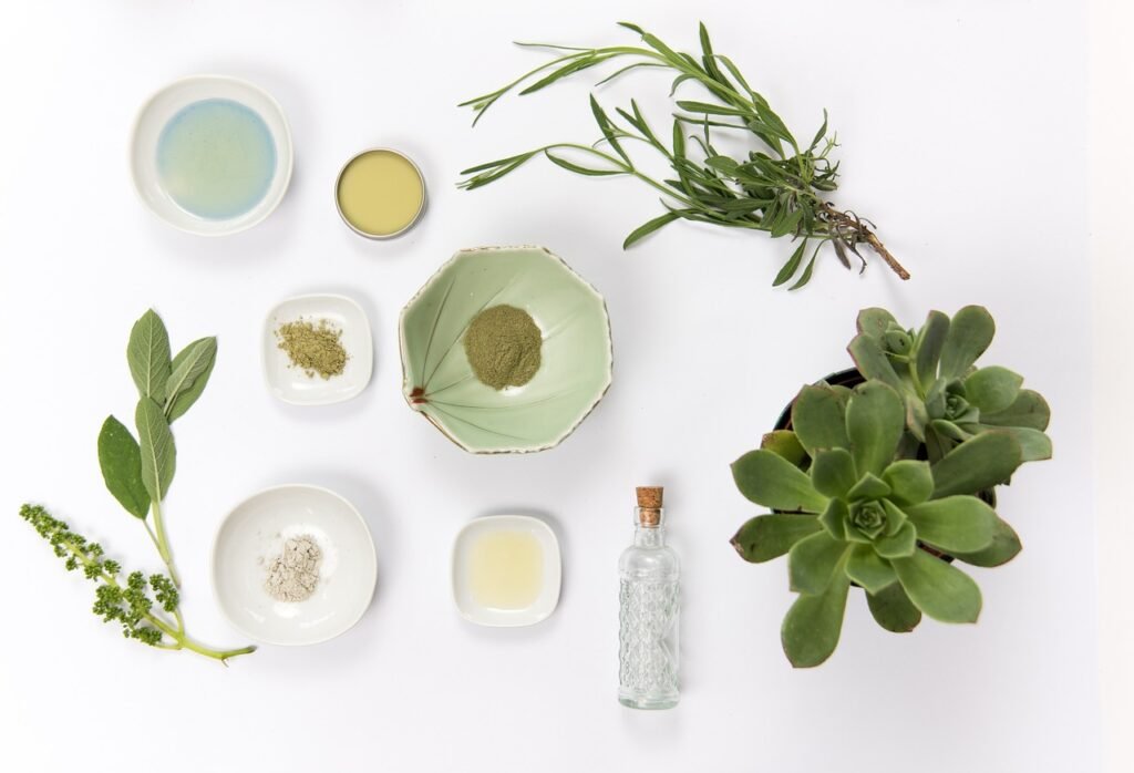 Produit naturel dans des bols - plantes médicinales